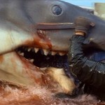 1975 - Jaws - 08